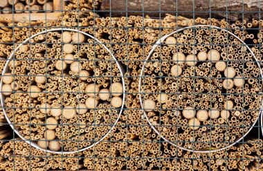 Böcek Oteli ya da Böcek Evi. Kapatın.