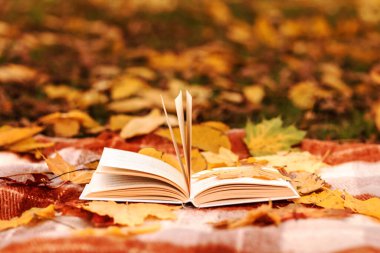 Sarı Sonbahar Yaprakları Arkaplanlı Sonbahar Kitabı. Dünya Kitap Günü. Sonbahar Arkaplanı.