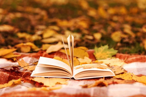 Autumn Book Yellow Fallen Autumn Leaves Background World Book Day — Stock Photo, Image