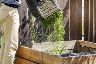 Bahçe atıkları için gübre kutusu. Çim biçme makinesinden gübre yığınına taze çimen atmak. Atık Geri Dönüşüm Konsepti.