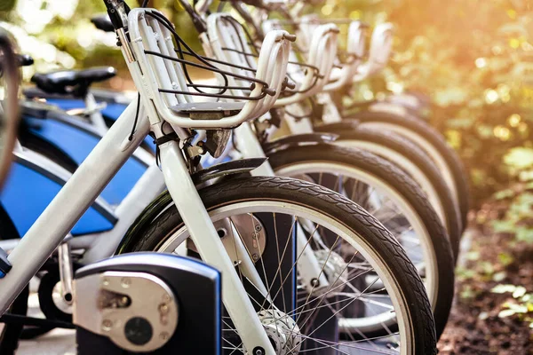 Système Partage Vélos Vélos Électriques Vélos Électriques Chargement Dans Parking — Photo