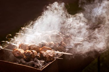 Smoke Outdoor ile ızgara kebap şiş üzerinde et. Baharatlı Şiş Kebap Shashlyk Izgarayı Izgarada Hazırladı.