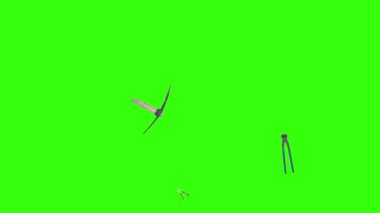 Eski tip bahçe aletleri animasyonu, yeşil ekran krom anahtarı üzerinde