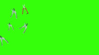 Makas animasyonu, bahçe aletleri, kroma anahtarı, grafik kaynak elementleri