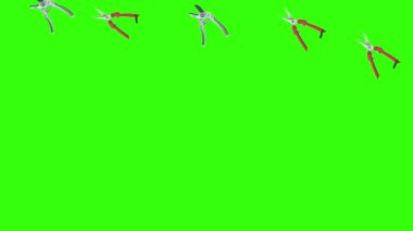 Makas animasyonu, bahçe aletleri, kroma anahtarı, grafik kaynak elementleri