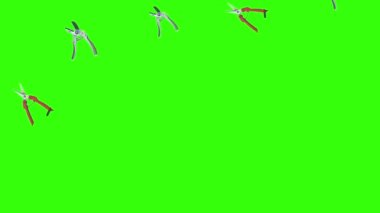 Makas animasyonu, bahçe aletleri, kroma anahtarı, grafik kaynak elementleri