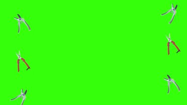 Makas animasyonu, bahçe aletleri, kroma anahtarı, grafik kaynak elementleri