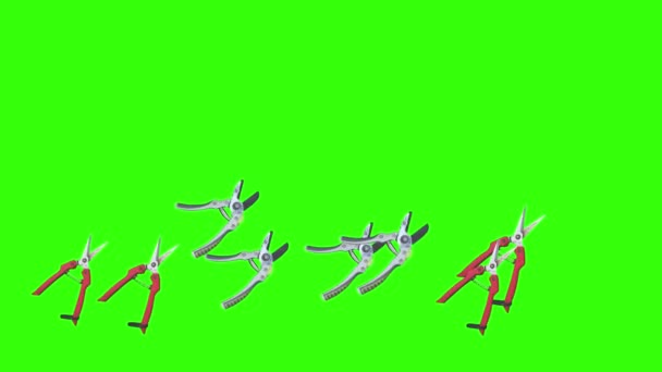 Анімація Ножиць Інструменти Садівництва Ключ Хроми Елементи Графічного Джерела — стокове відео