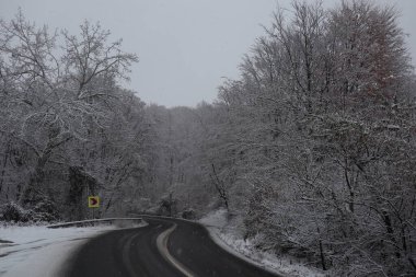 Ormanın yakınındaki Karlı Yol, kış arkaplanı