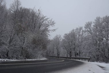 Ormanın yakınındaki Karlı Yol, kış arkaplanı