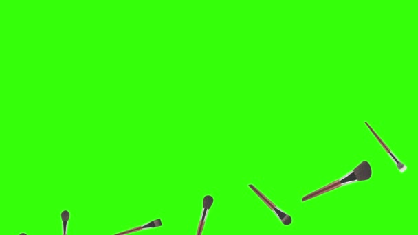 Makyaj Aksesuarları Animasyon Yeşil Ekranı Fırçalar — Stok video