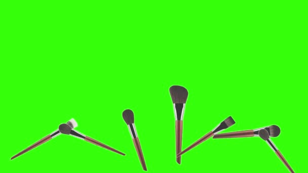 Smink Tartozékok Kefék Animáció Zöld Képernyő — Stock videók