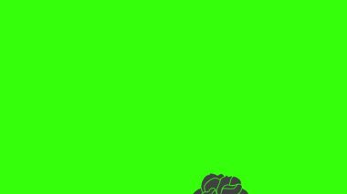 Yeşil ekran görüntü elementinde siyah güller grafik animasyonu