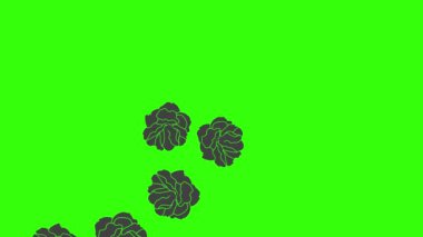 Yeşil ekran görüntü elementinde siyah güller grafik animasyonu