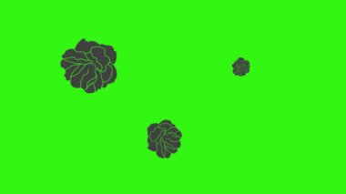 Yeşil ekran görüntü elementinde siyah güller grafik animasyonu