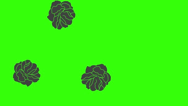 绿色屏幕视频元素中的黑色玫瑰图形动画 — 图库视频影像