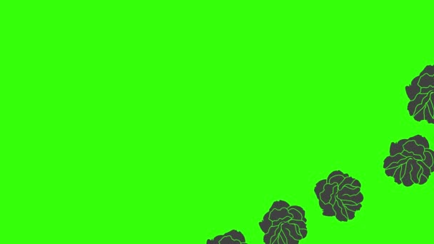 Animación Gráfica Rosas Negras Elemento Vídeo Pantalla Verde — Vídeo de stock