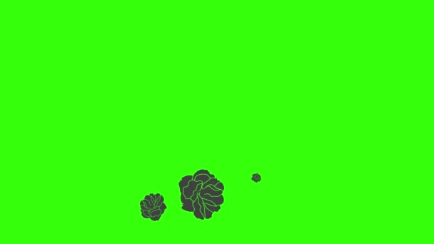 Černá Růže Grafické Animace Zelené Obrazovce Video Prvek — Stock video