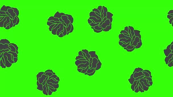 Black Roses Graphic Animation Green Screen Video Element — Stock Video