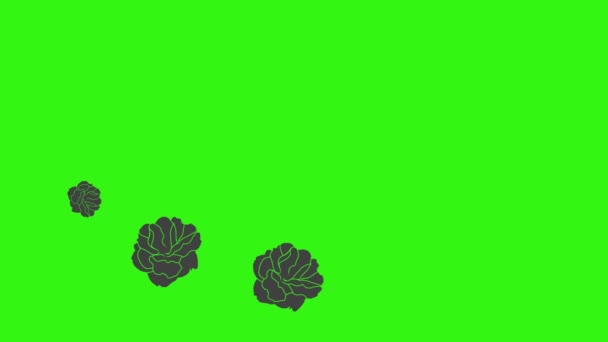 Černá Růže Grafické Animace Zelené Obrazovce Video Prvek — Stock video