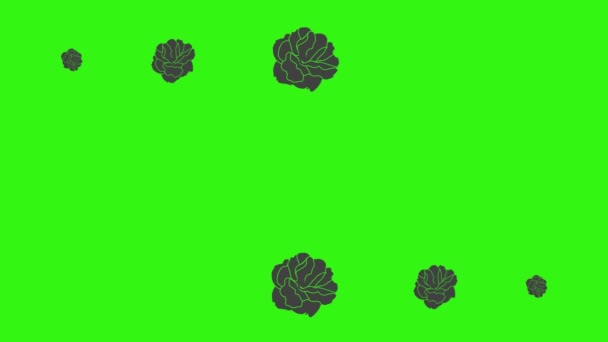 Zwarte Rozen Grafische Animatie Groen Scherm Video Element — Stockvideo