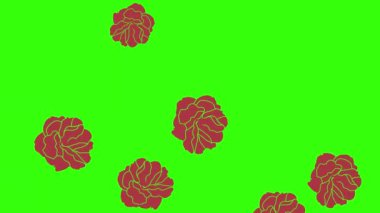 Kırmızı güllerin animasyonu, yeşil ekranda grafik tasarımı, geçiş elementi