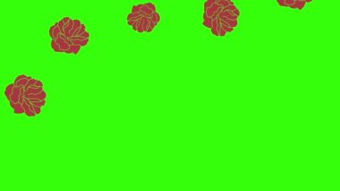 Kırmızı güllerin animasyonu, yeşil ekranda grafik tasarımı, geçiş elementi