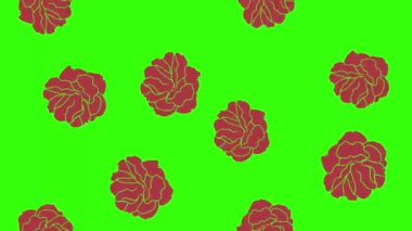 Kırmızı güllerin animasyonu, yeşil ekranda grafik tasarımı, geçiş elementi