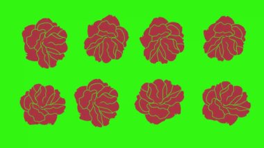 Kırmızı güllerin animasyonu, yeşil ekranda grafik tasarımı, geçiş elementi