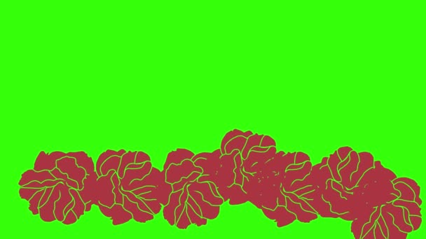 Animație Trandafiri Roșii Design Grafic Ecran Verde Element Tranziție — Videoclip de stoc