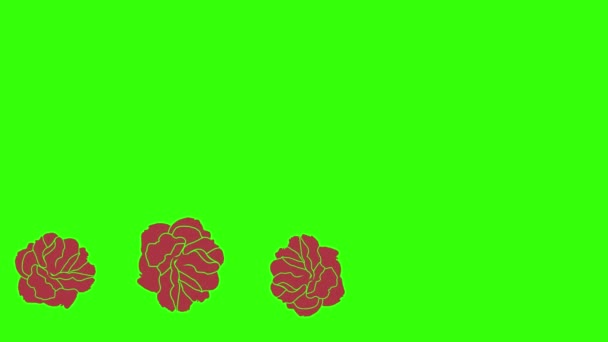 Animation Red Roses Graphic Design Green Screen Transition Element — Stock Video