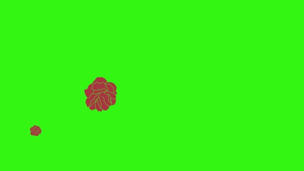 Animation Red Roses Graphic Design Green Screen Transition Element — Stock Video
