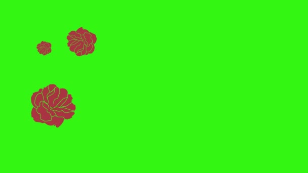 Animation Roter Rosen Grafische Gestaltung Auf Grünem Bildschirm Übergangselement — Stockvideo