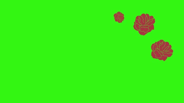 Kırmızı Güllerin Animasyonu Yeşil Ekranda Grafik Tasarımı Geçiş Elementi — Stok video
