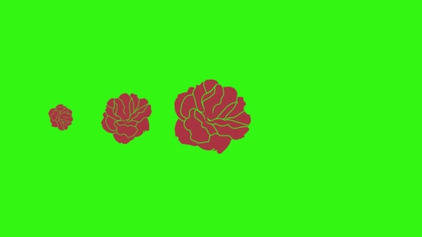 Анимация Красных Роз Графический Дизайн Зеленом Экране Переходный Элемент — стоковое видео