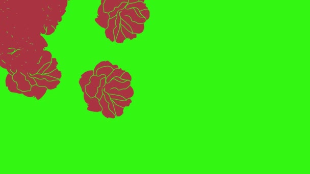 赤いバラのアニメーション グリーンスクリーンのグラフィックデザイン 遷移要素 — ストック動画