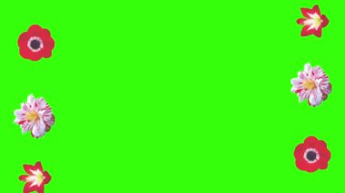 Yeşil ekrandaki çiçeklerin canlandırması, grafik kaynak ögesi