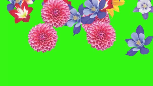 Animation Fleurs Sur Écran Vert Élément Source Graphique — Video