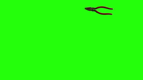 Alicate Único Animado Movimiento Pantalla Verde Croma Elemento Clave — Vídeo de stock