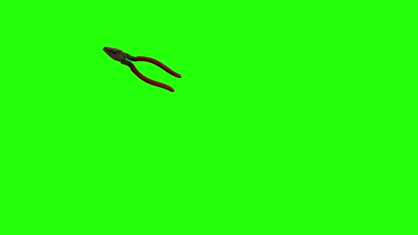 Alicate Único Animado Movimiento Pantalla Verde Croma Elemento Clave — Vídeo de stock