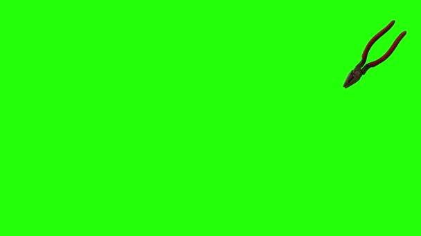 Alicate Único Animado Movimiento Pantalla Verde Croma Elemento Clave — Vídeos de Stock
