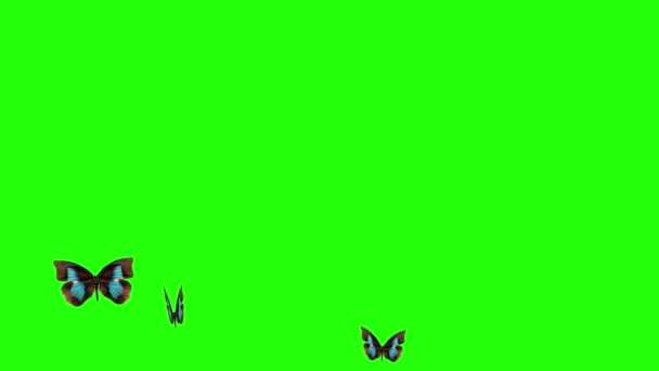 Ομάδα Πεταλούδων Που Πετούν Πράσινη Οθόνη Περιβάλλον Φύση Στοιχείο Animation — Αρχείο Βίντεο