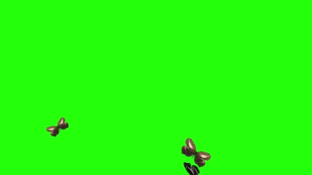 Skupina Motýlů Létajících Zelené Obrazovce Příroda Animační Prvek — Stock video