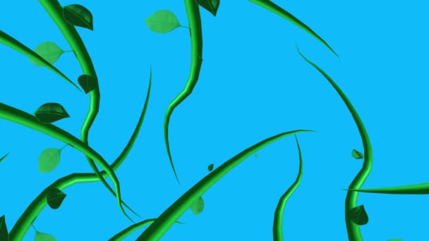 Selva Vinhas Animação Crescendo Elementos Tela Azul Chave Chroma — Vídeo de Stock