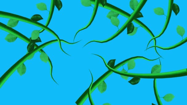 在蓝屏彩色键上的丛林藤蔓动画生长元素 — 图库视频影像