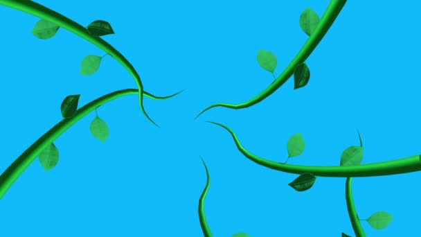 Džungle Vinic Animace Rostoucí Prvky Modré Obrazovce Chroma — Stock video