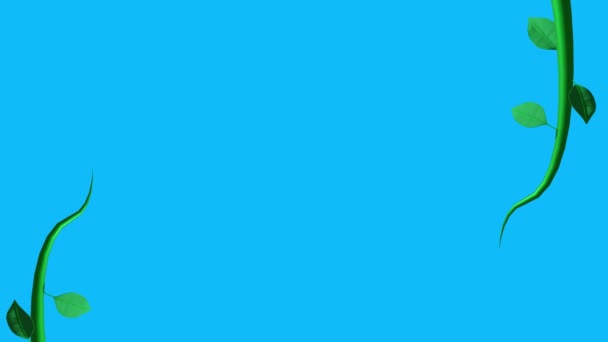 Джунглі Ліани Анімація Зростаючі Елементи Синьому Екрані Хром Ключ — стокове відео
