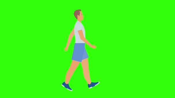 Tecknad Man Promenader Animation Sömlös Loop Grön Skärm Kroma Nyckel — Stockvideo