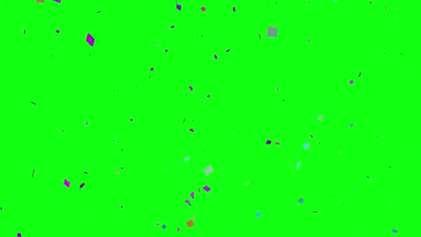 Animación Colorida Confetti Para Celebración Los Acontecimientos Elemento Gráfico Fuente — Vídeo de stock