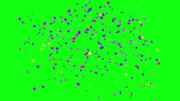 Барвиста Анімація Confetti Святкування Подій Графічний Елемент Джерела Зеленому Екрані — стокове відео